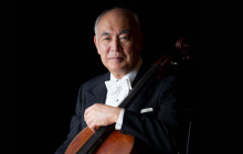 tutumi
